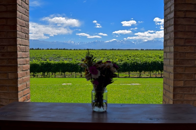 Andeluna vineyards, Uco Valley