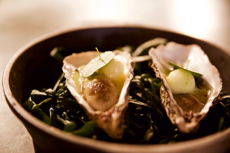 Oysters Flambadou at Ekstedt Michelin star restaurant, Stockholm 