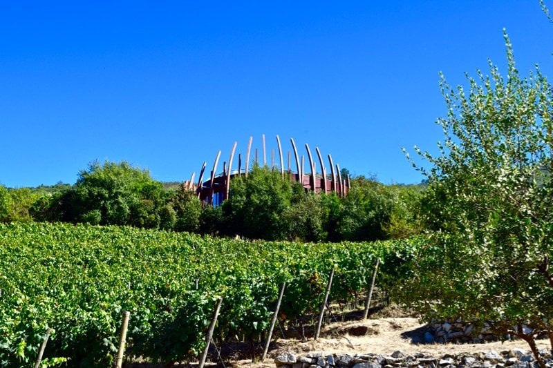 Lapostolle - one of my favourite Colchagua Valley wine tours