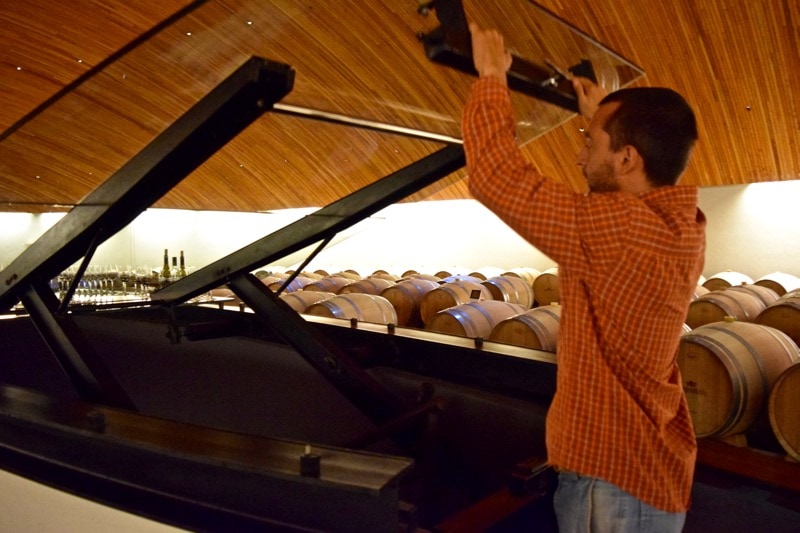 Diego opening the door to Lapostolle's wine library / cellar