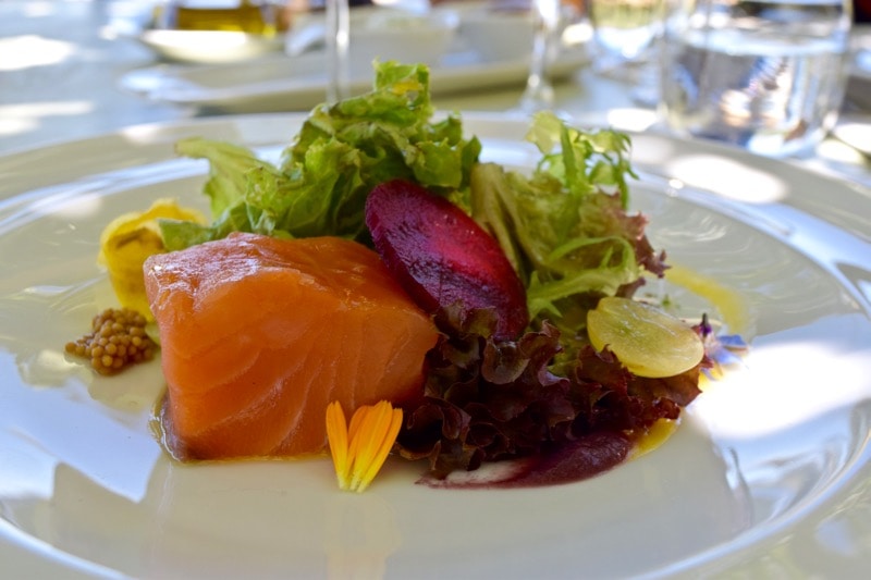 Salmon starter at Lapostolle, Colchagua Valley, Chile 