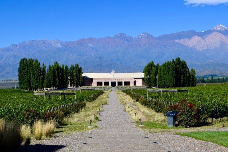 Salentein Winery, Uco Valley