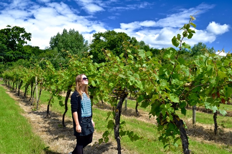 Enjoying Rosemary Vineyard, Isle of Wight