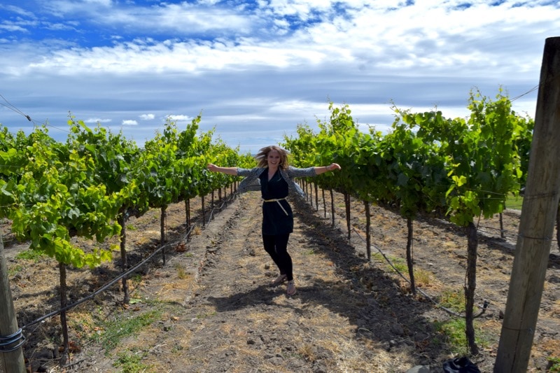 Playing in the vineyards at Larson Family Winery, Sonoma Valley, California