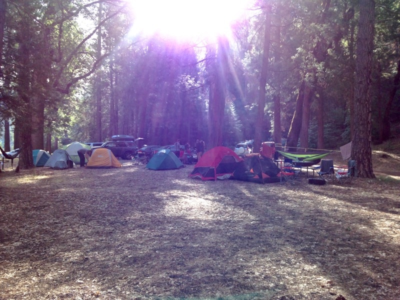 Camping in Yosemite