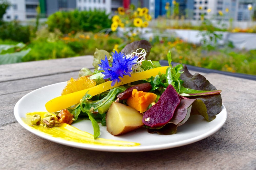 Delicious salads at Op Het Dak, Rotterdam