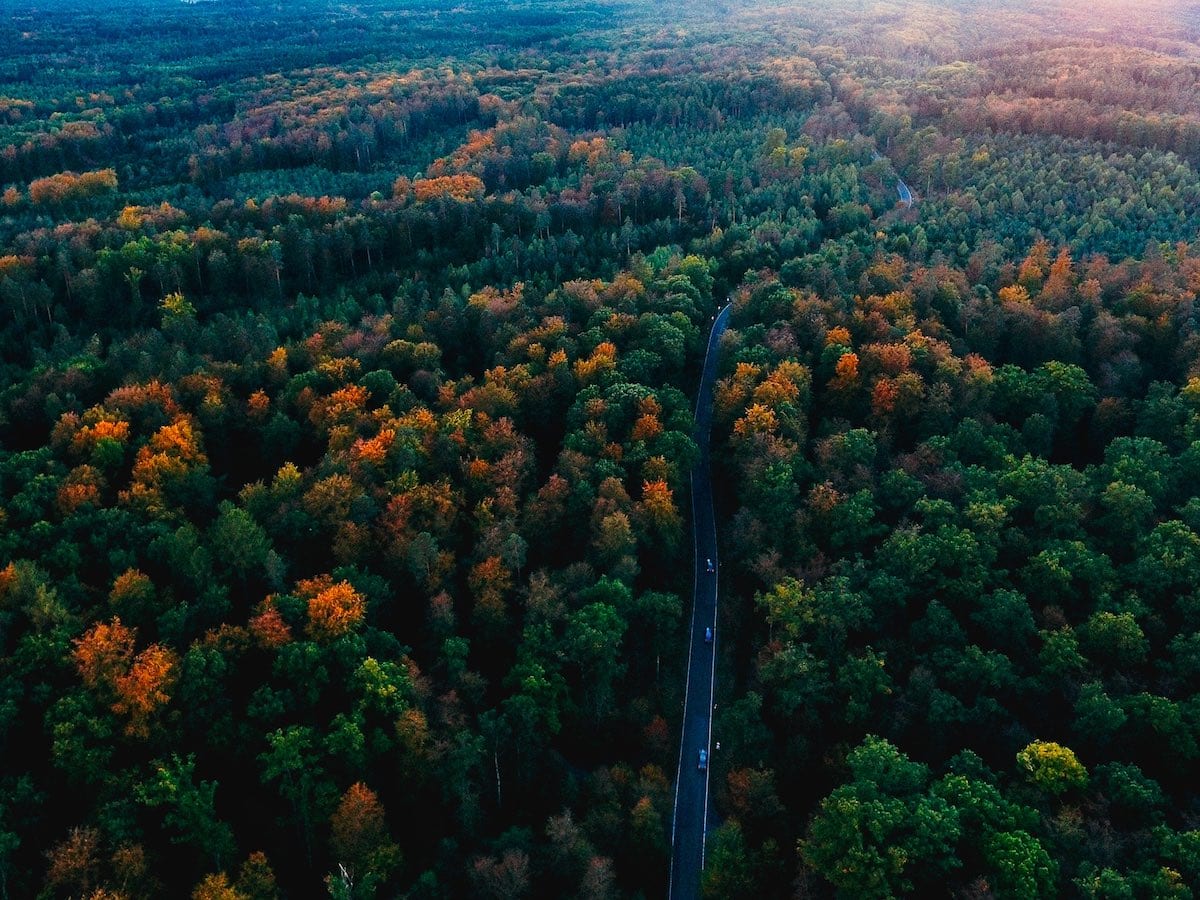 Black Forest Germany Aerial