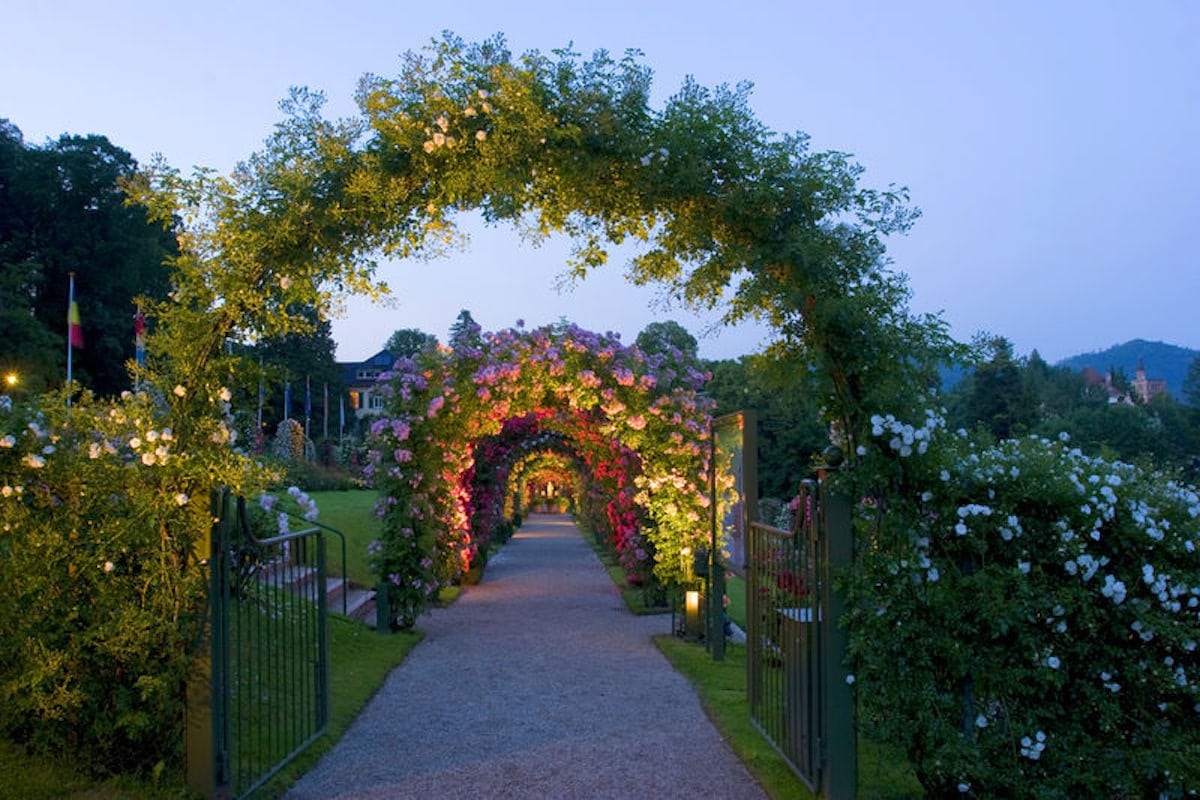 Rose Garden, Black Forest, Germany (© Baden-Baden Kur & Tourismus GmbH-min)