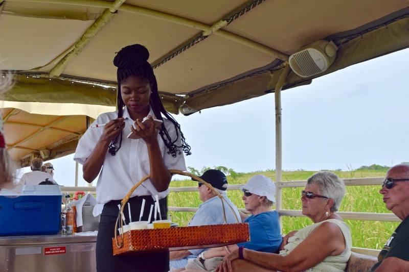 All inclusive bar on the St Kitts Scenic Railway