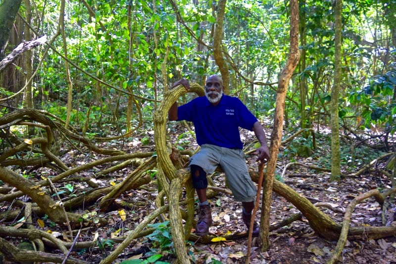 O'Neil's Rainforest Tour in St Kitts