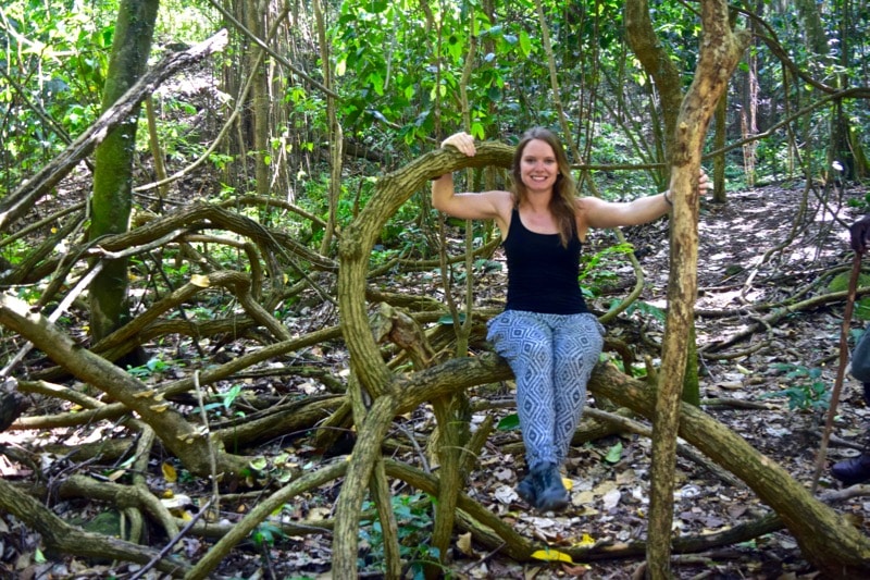 Enjoying O'Neil's Rainforest Tour in St Kitts