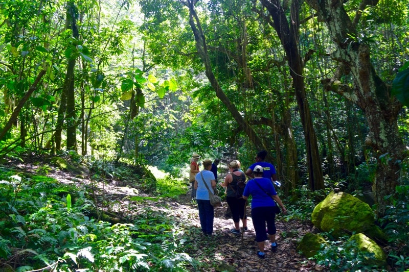 Enjoying O'Neil's Rainforest Tour in St Kitts