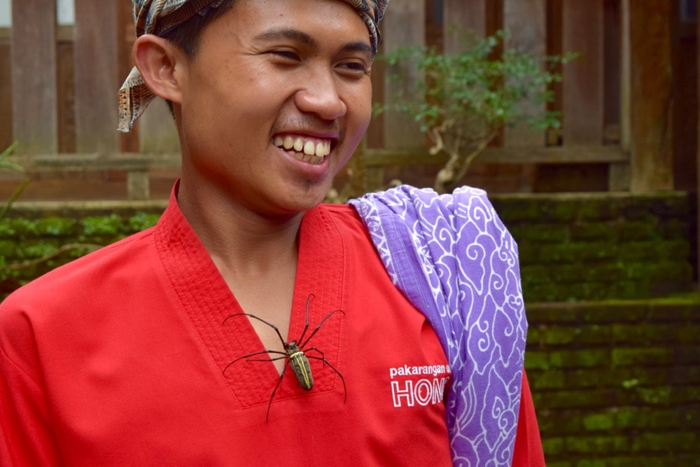 Getting to know the local inhabitants of Bandung! Getting to know the local inhabitants of Bandung!