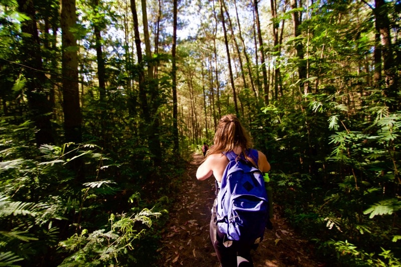 Trekking through the forest on the descent from Mount Batur in Bali