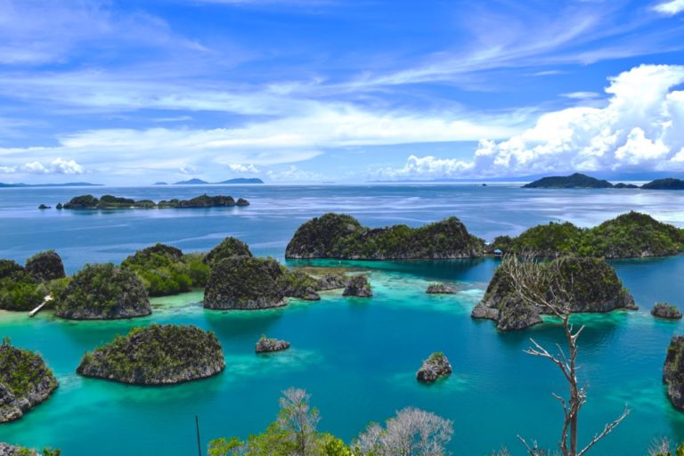 Raja Ampat: Unveiling the Jewels of Indonesia's Coral Triangle