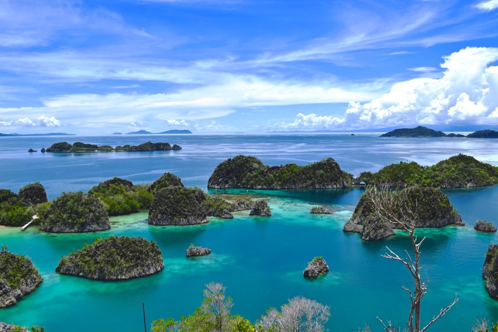 travel to raja ampat indonesia