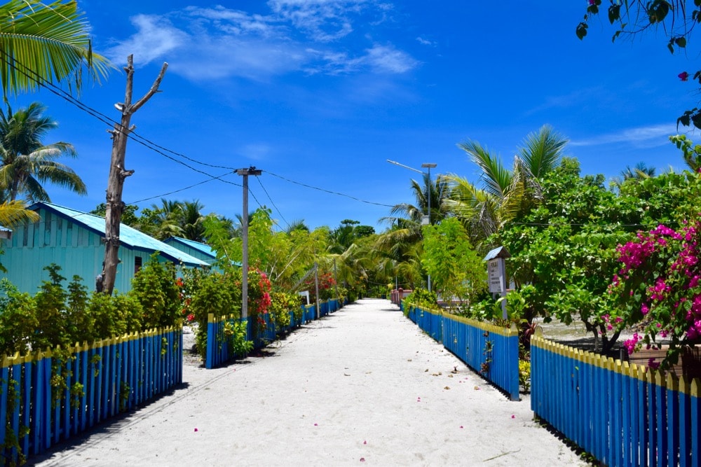 Arborek Village, Raja Ampat