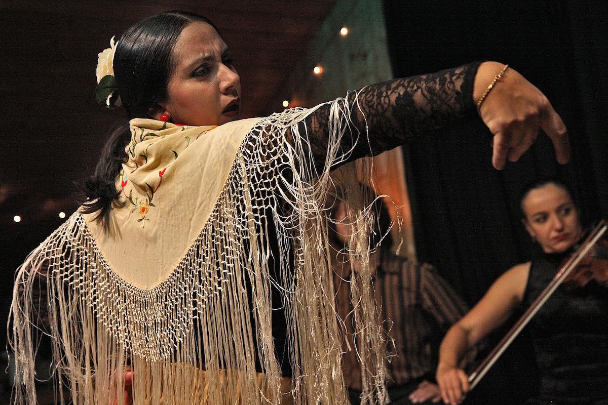 Flamenco Spain