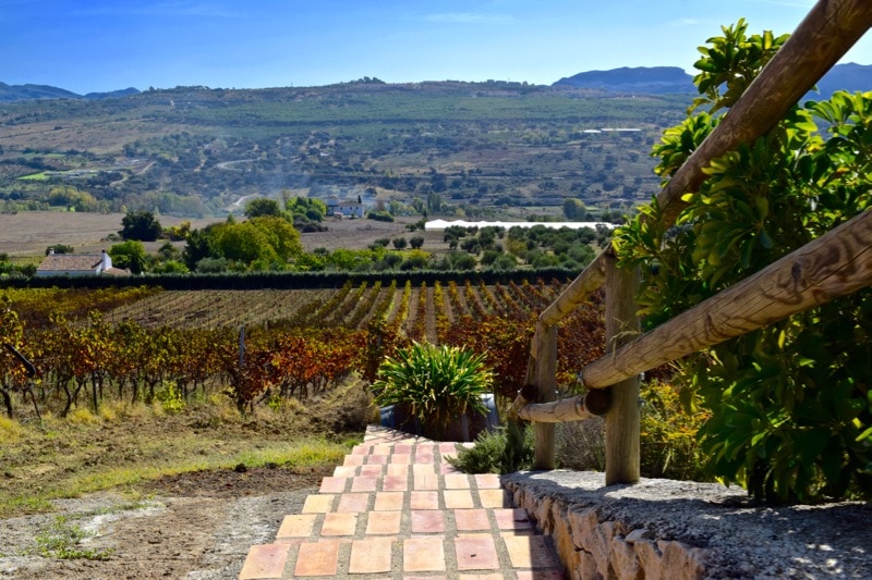 Winery - Bodega Joaquín Fernández, Ronda, Spain