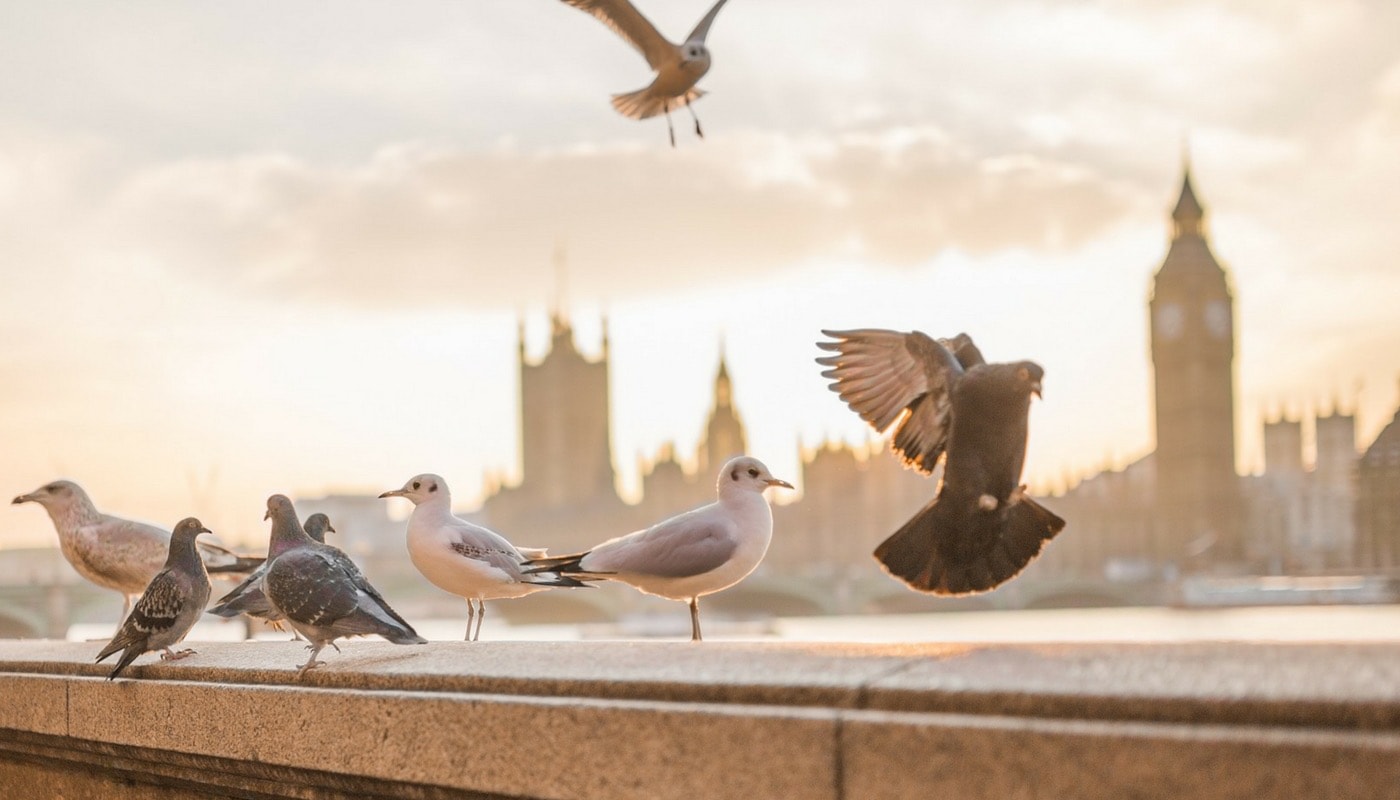 Top 10 Things To Do In London In January 2017