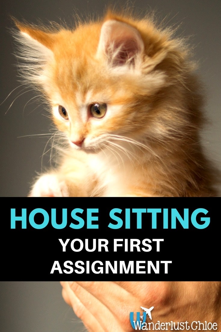 House Sitting - Your First Assignment