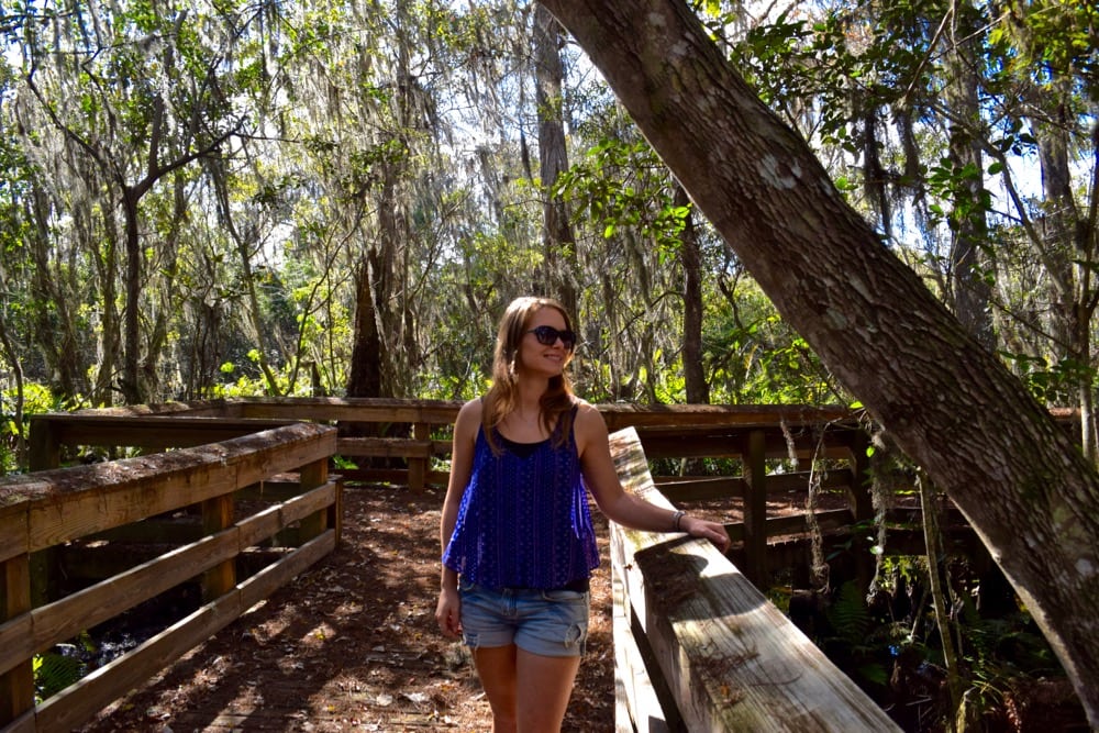 Checking out Barley Barber Swamp, Martin County, Florida