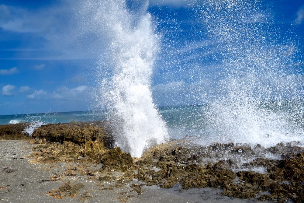 Blowing Rocks Preserve, Martin County