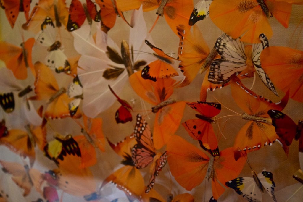 Butterfly motif in our room