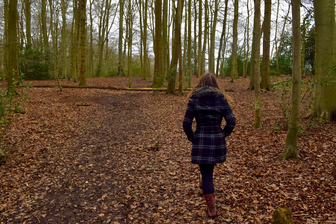 Country Walks In The Chilterns