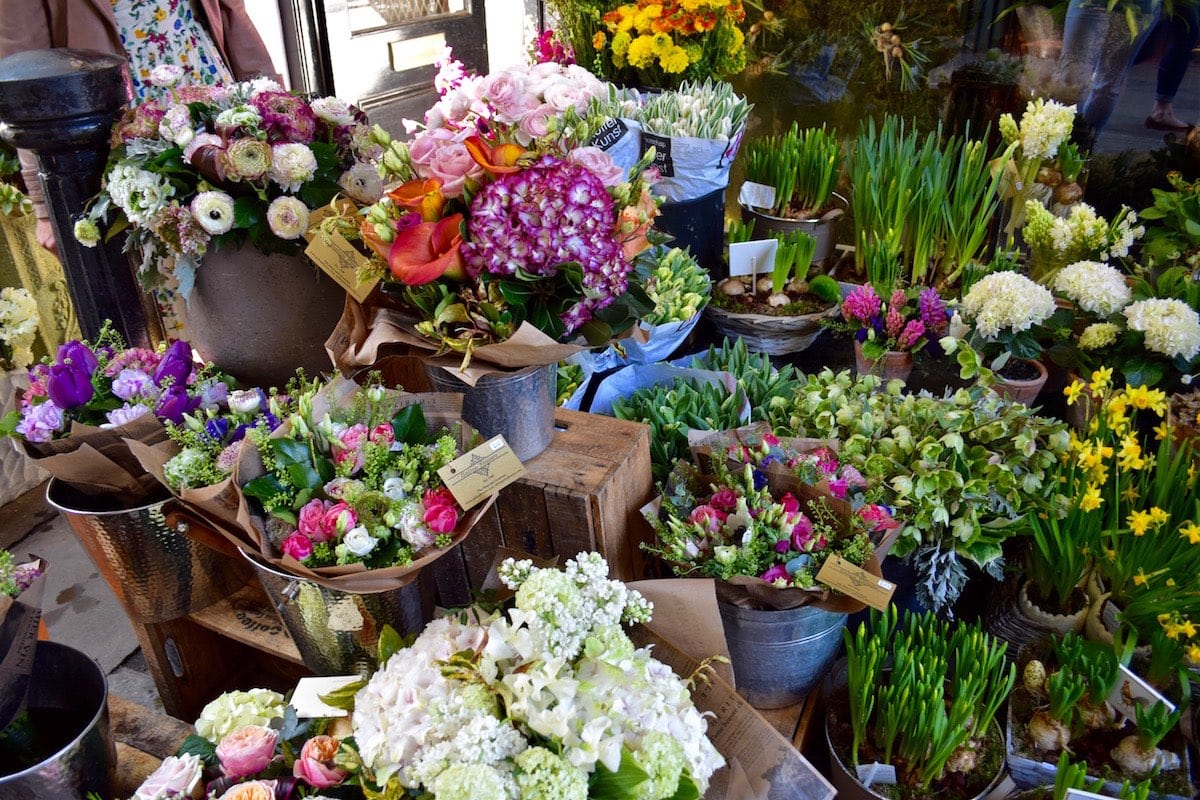 Flower stall on Flask Walk, Hampstead