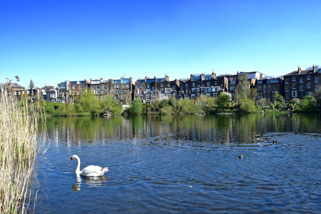 Hampstead Heath ponds