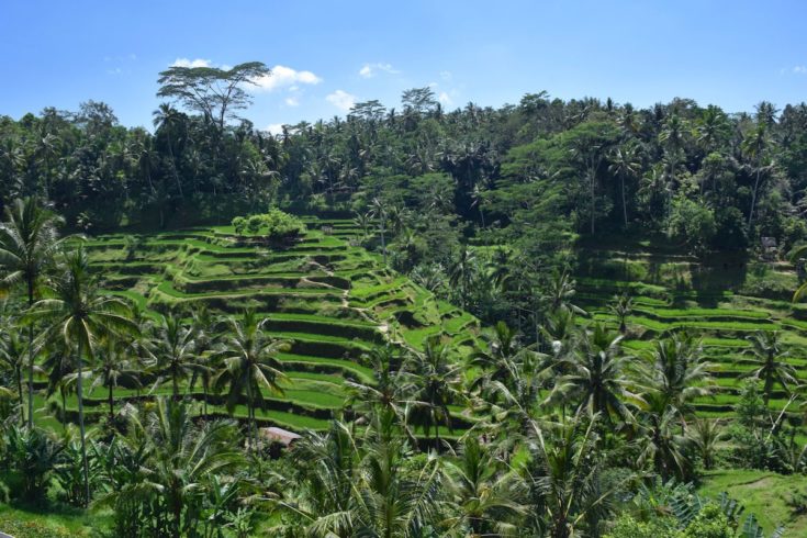 bali travel blogs 2022