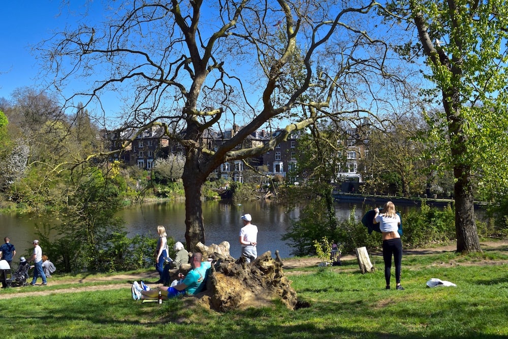 Hampstead Heath ponds