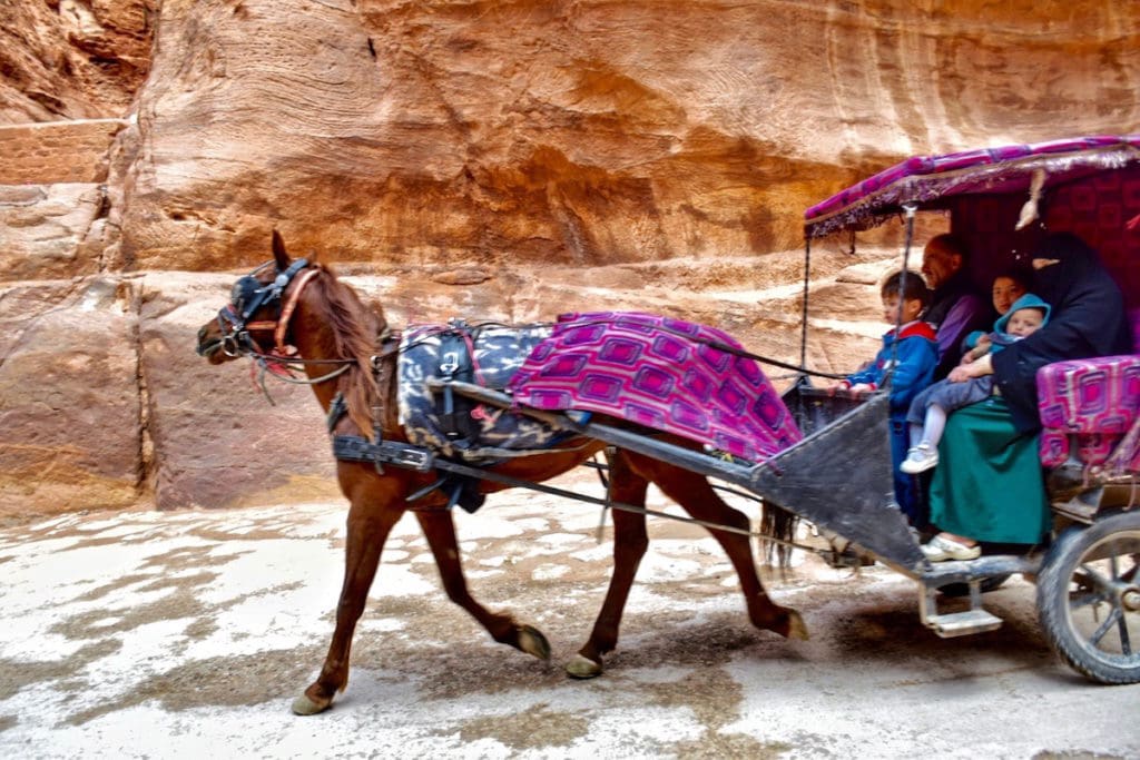 Horse and cart racing through The Siq in Petra, Jordan