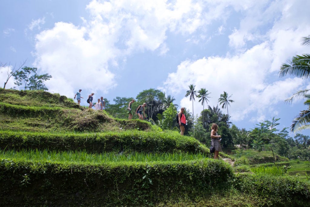 Tegalalang Rice Terraces, near Ubud, Bali (Photo: Macca Sherifi)