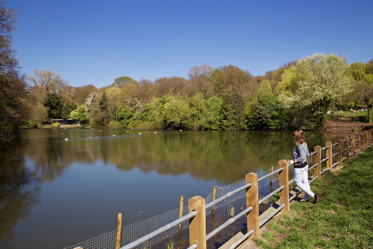 Lovely views across the ponds in Hampstead