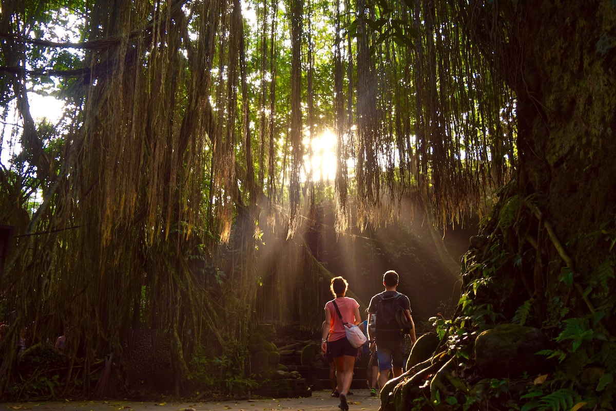 Beautiful light in Monkey Forest, Bali