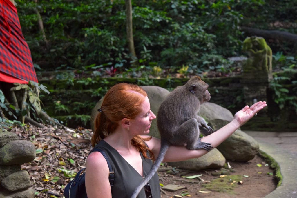 Monkey Forest, Bali