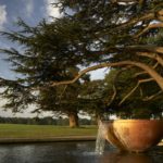 Beautiful water feature by the sequoia tree at The Grove, Hertfordshire