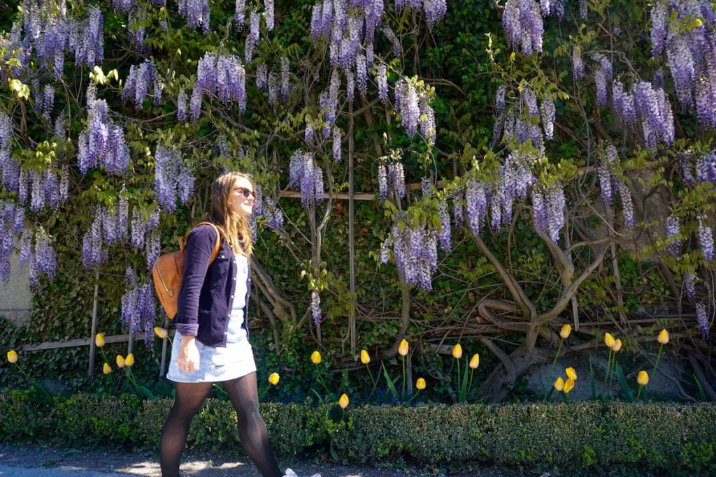 Exploring Mirabell Gardens, Salzburg, Austria