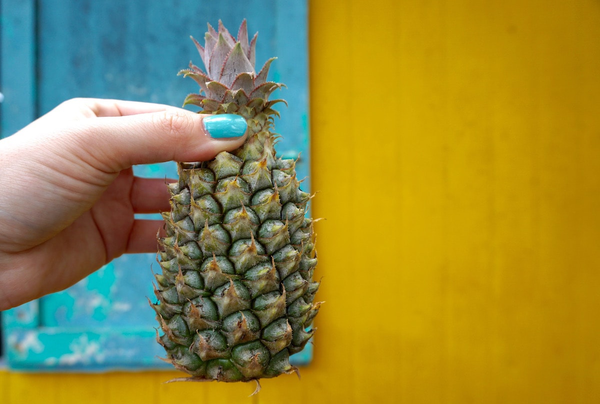 Mini pineapples in Antigua