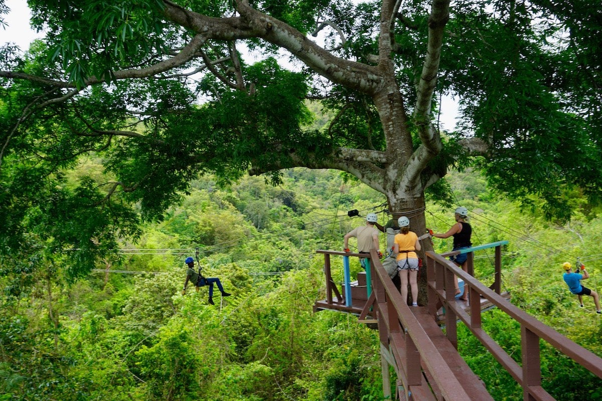 Antigua Rainforest Ziplining Tours