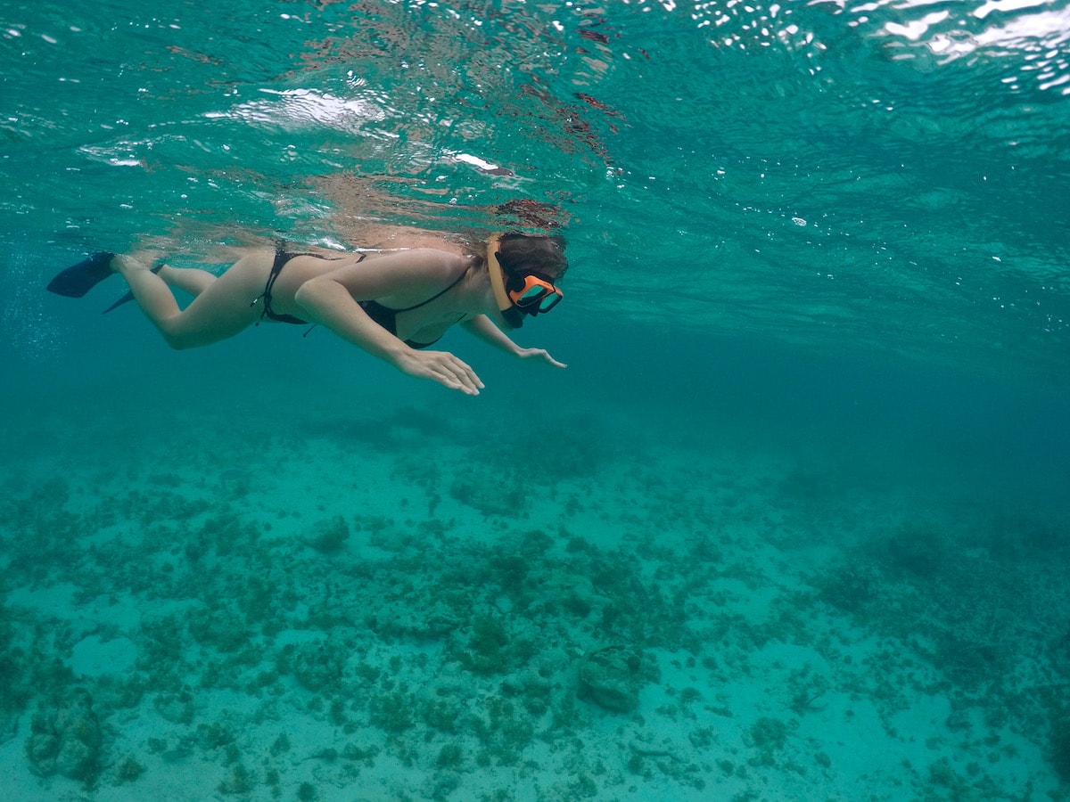 Snorkelling in Antigua, Caribbean