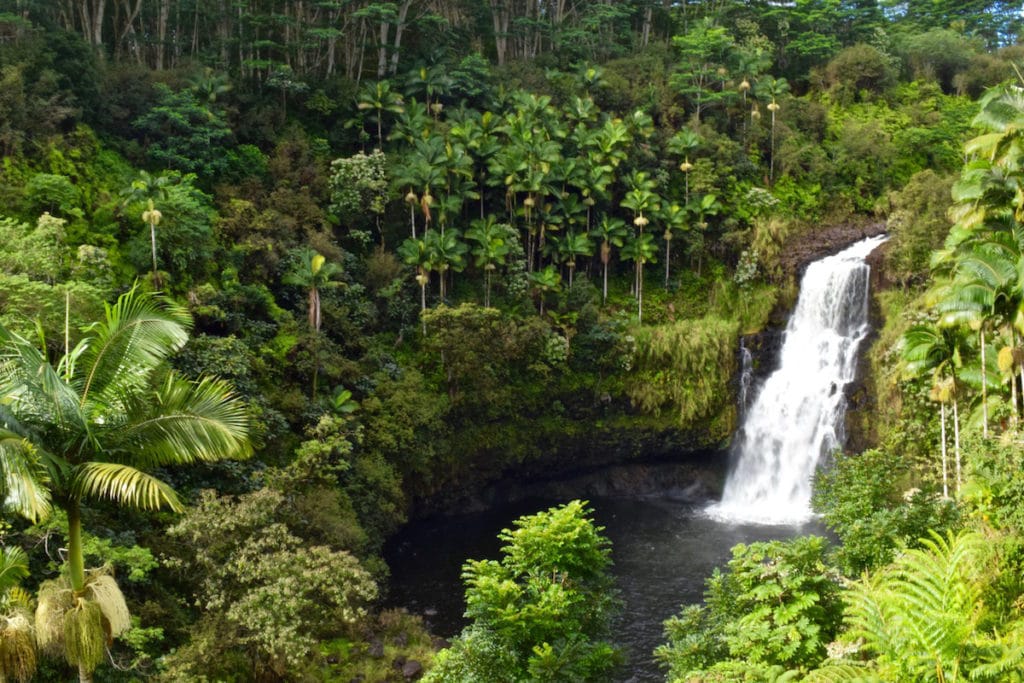 Kulaniapia Falls, Hawaii