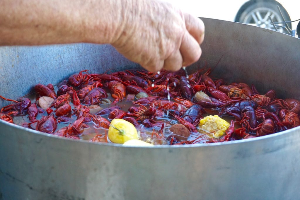 Crawfish at the R Bar crawfish boil, New Orleans