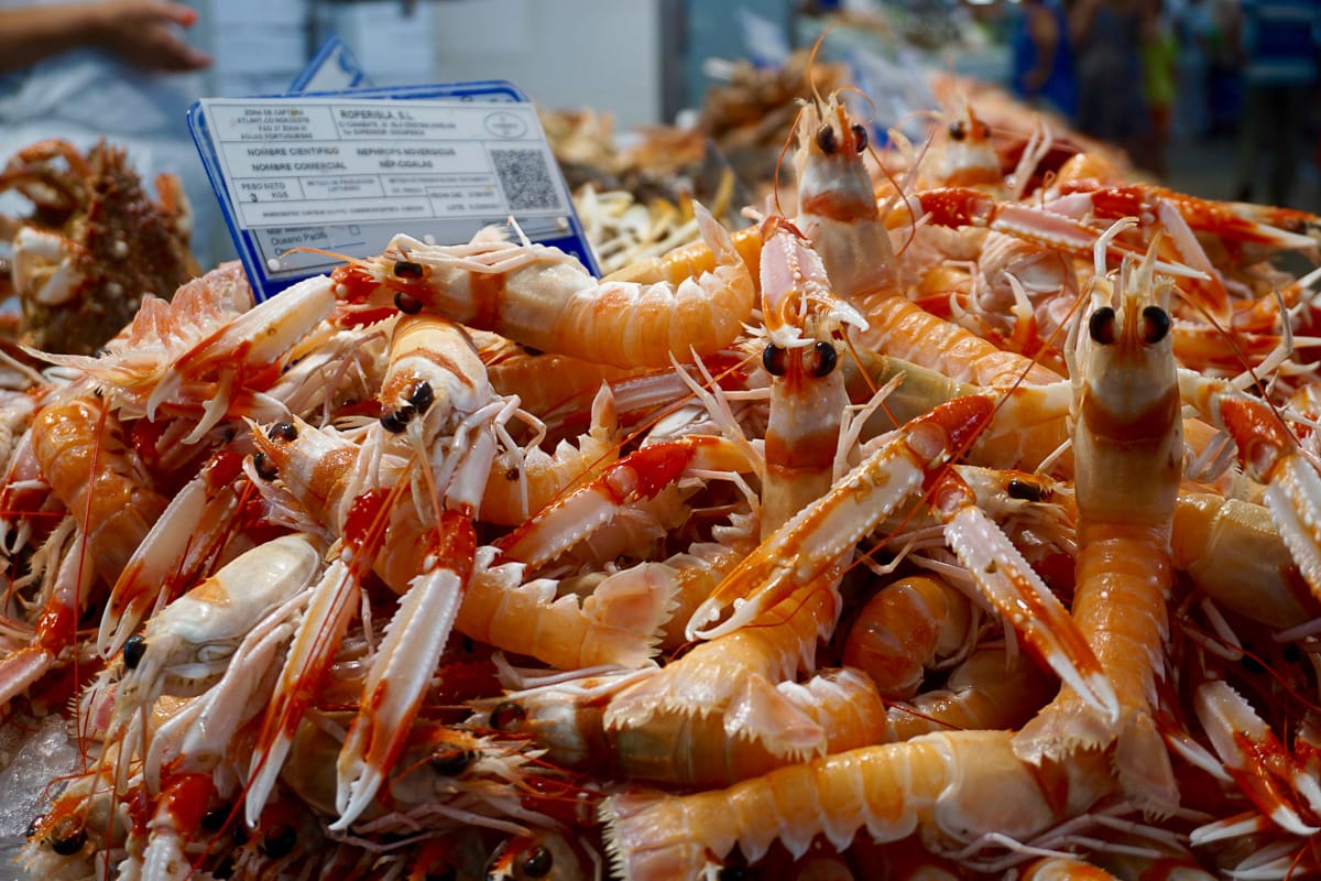 Crustaceans at Mercado Central, Cadiz