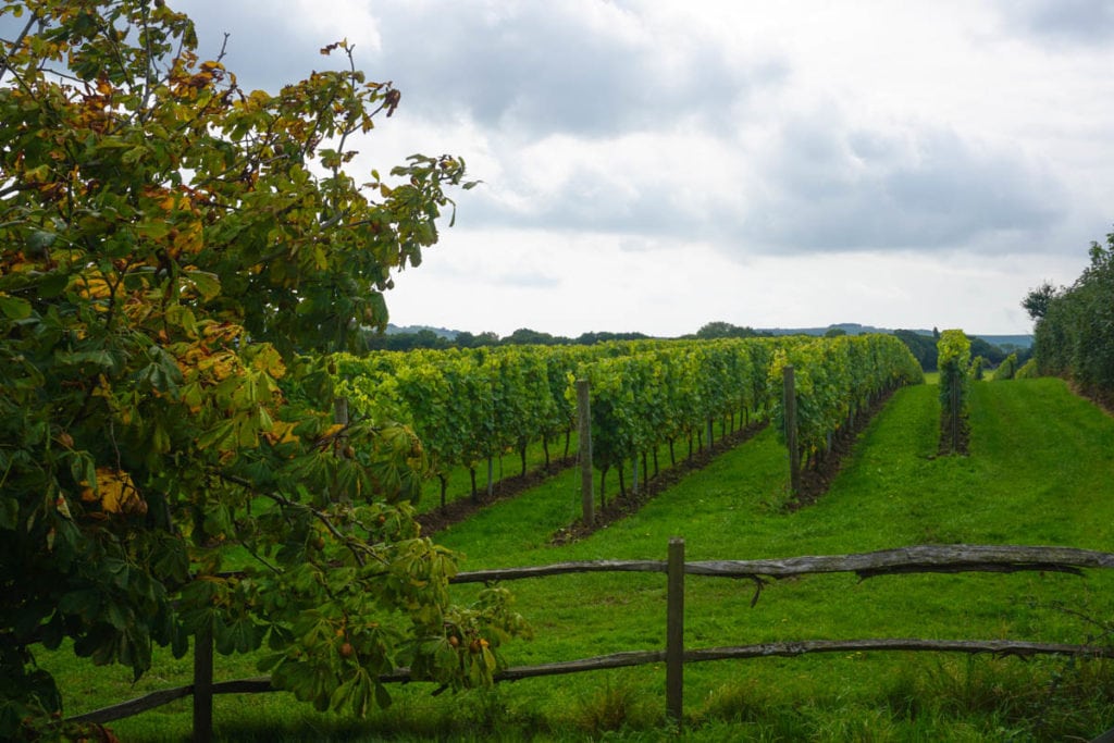 Albourne Estate, Sussex