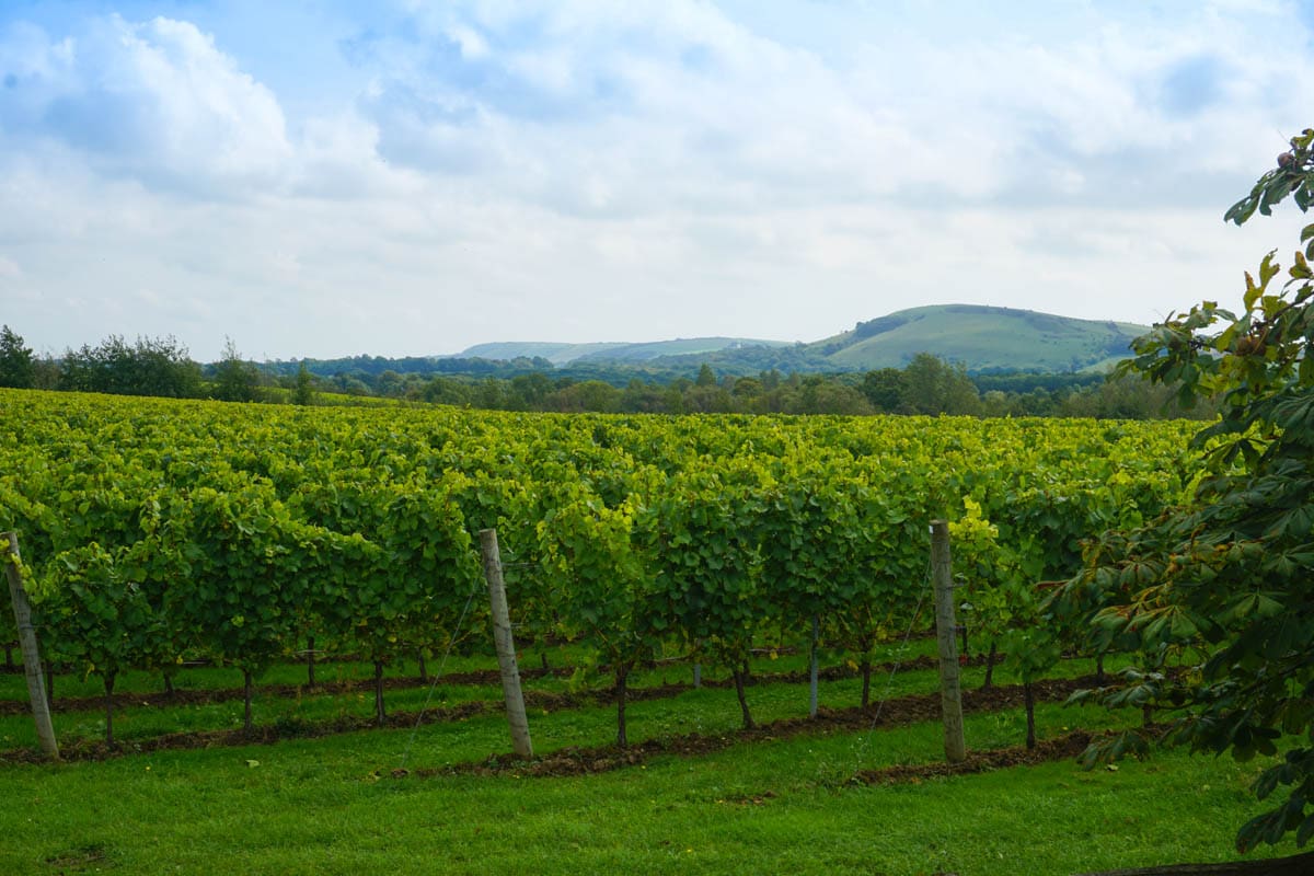 Albourne Estate, Sussex - a beautiful spot to round off a weekend in Brighton