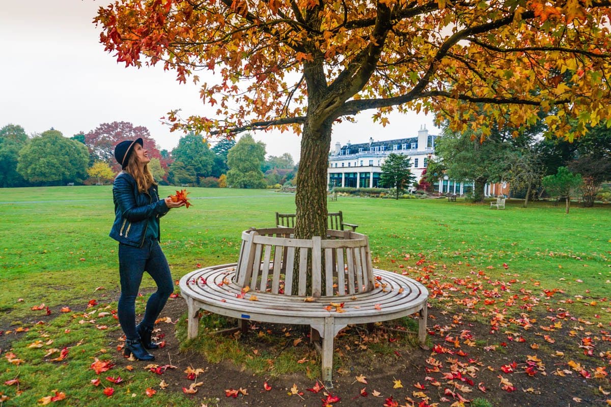 Enjoying Autumn in Cannizaro Park, Wimbledon