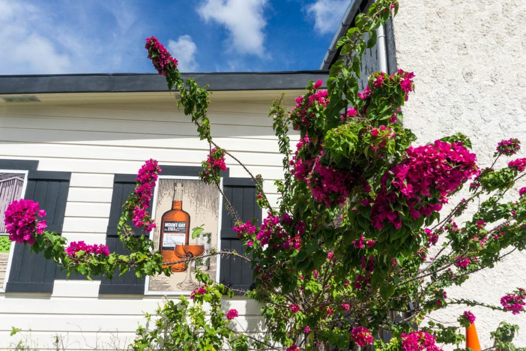 Mount Gay Rum Tour, Barbados